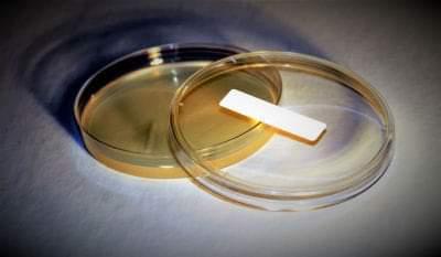 Cell Line Misidentification and Contamination