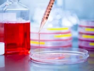 Cell Culture Media