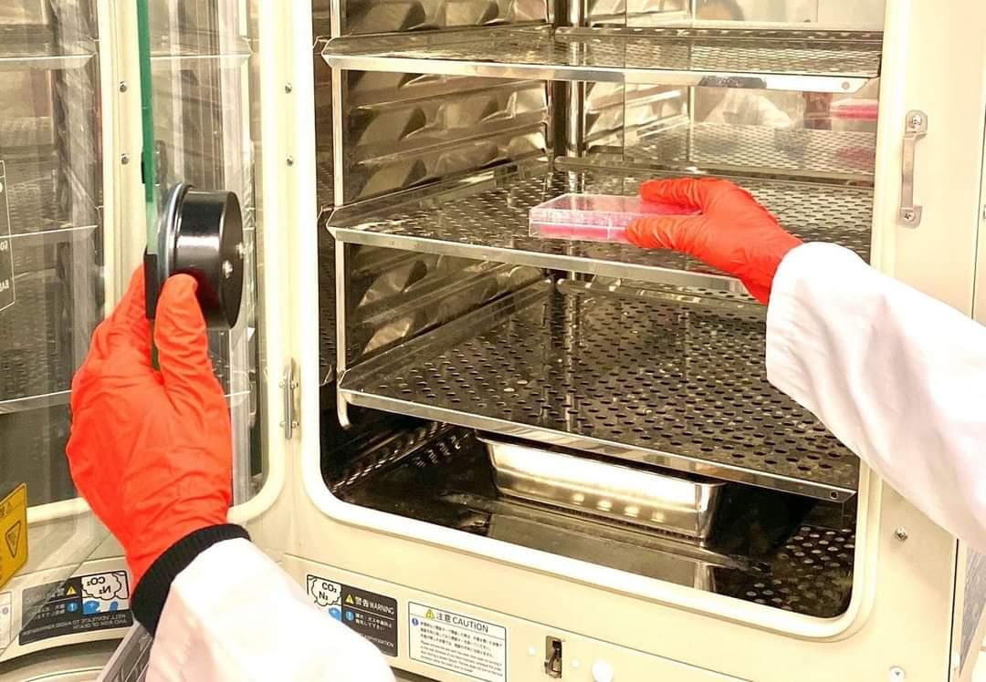 Sub-Culturing and Cell Culture Adaptations
