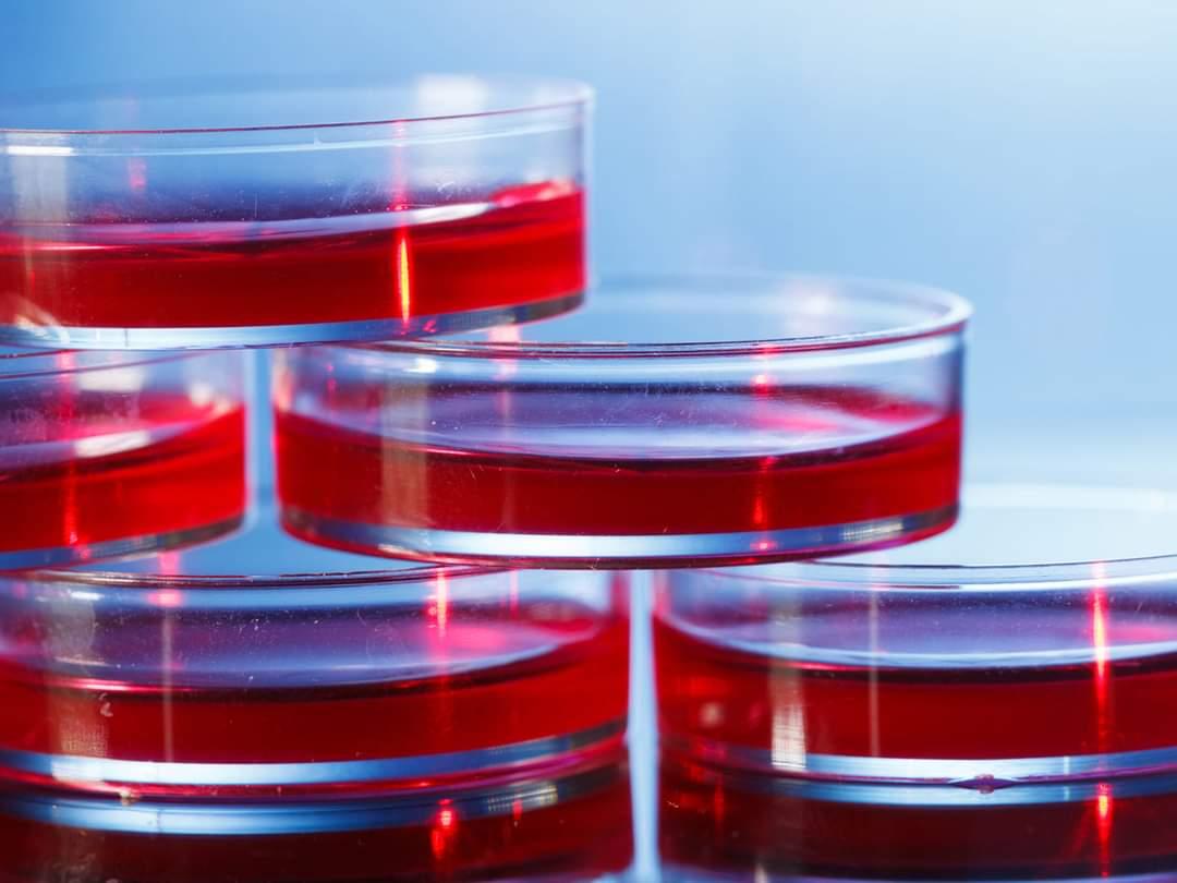 The Case Against Cell Cultures