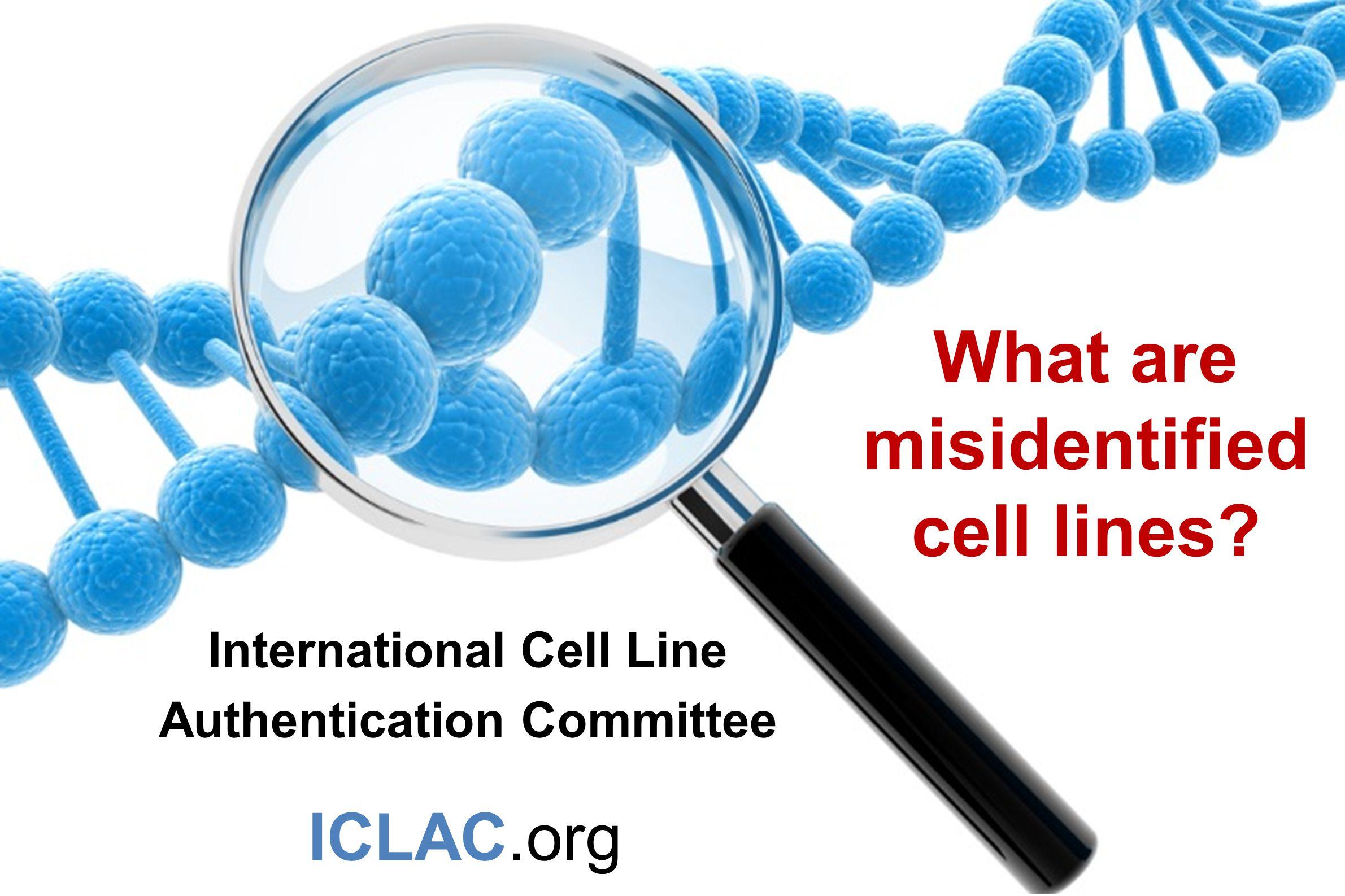 Cell Line Misidentification