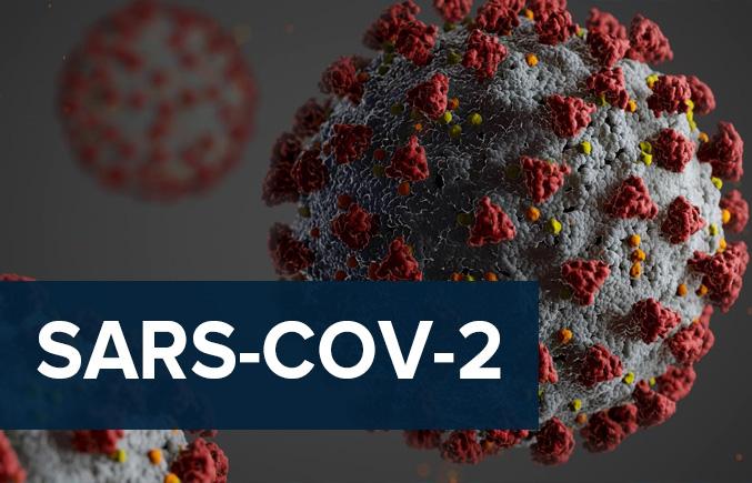 Zhou &#8220;SARS-COV-2&#8221; Paper (2020)