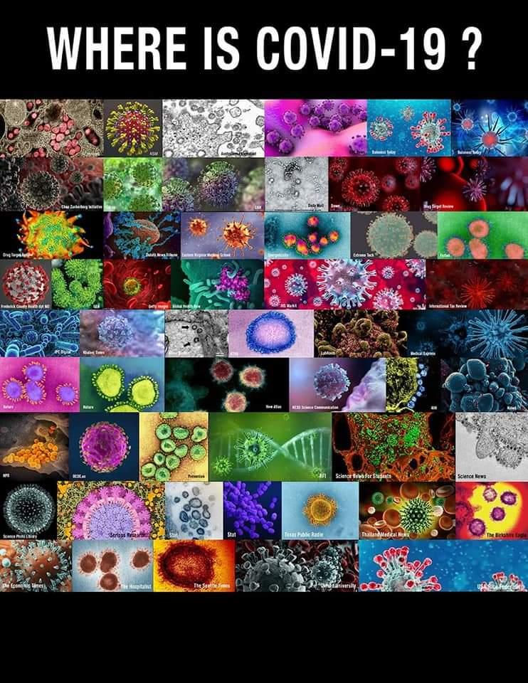 Misinterpreting Electron Microscope Images