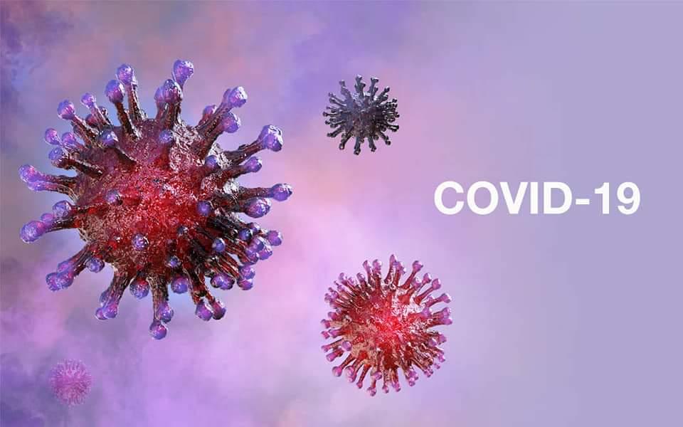 Park &#8220;SARS-COV-2&#8221; Paper (2020)