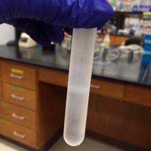 The Purification Problem