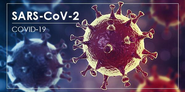 Zhu &#8220;SARS-COV-2&#8221; Paper (2020)