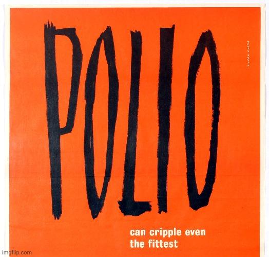 A Brief Overview on the Horrors of Polio Research