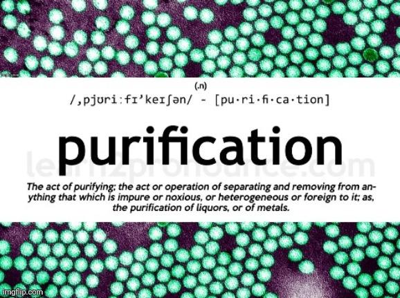Was Polio Ever Properly Purified and Isolated?: Part Two