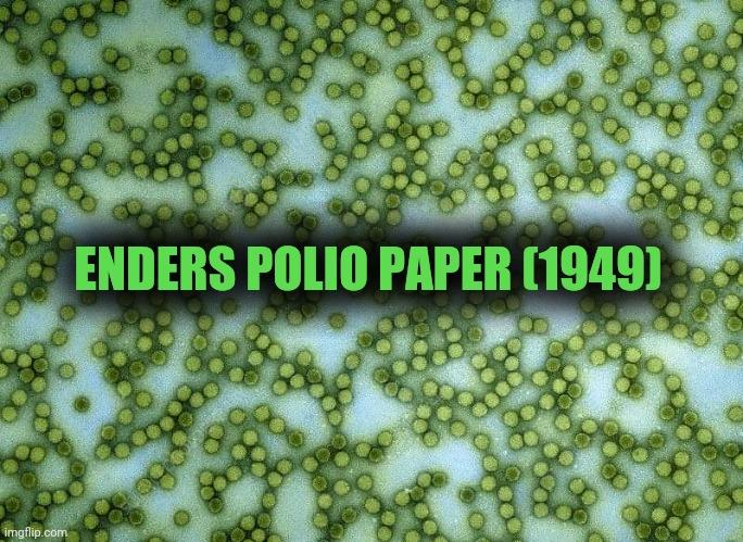 Enders Polio Paper (1949)