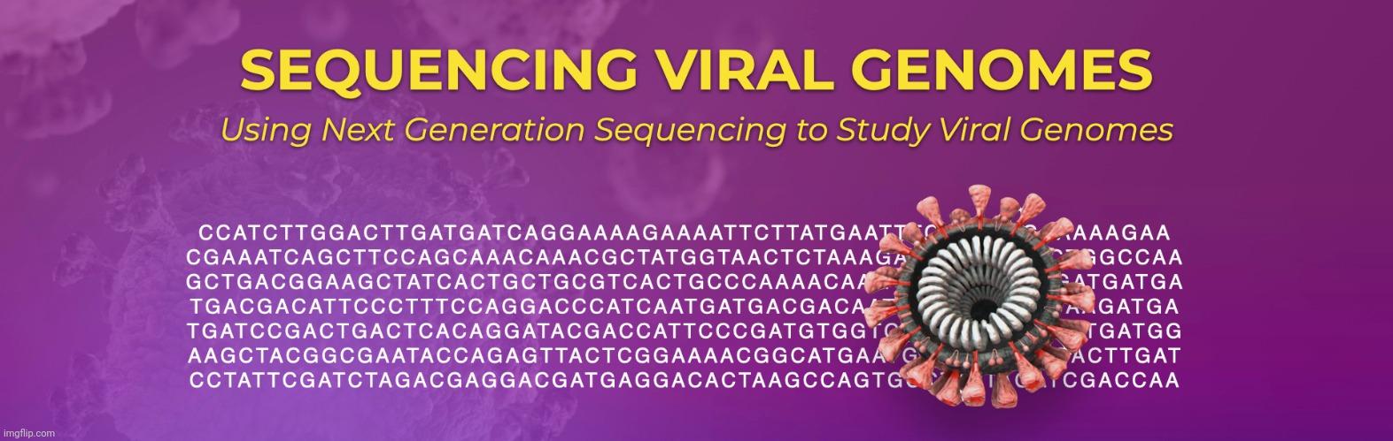 “Viral” Genomics: Nothing but Strings of Letters in a Data Bank