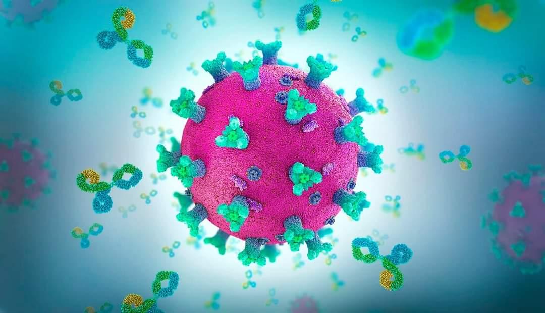 Antibodies: No Correlation of Protection