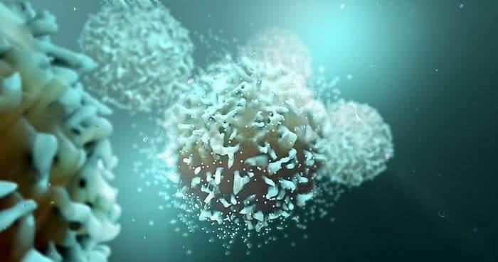 Antibodies Are Not Required For Immunity