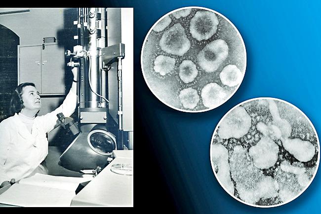 June Almeida And The First &#8220;Coronavirus&#8221; EM Images (1967)