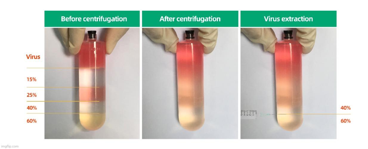 Is Purification of a &#8220;Virus&#8221; Necessary? Yes.