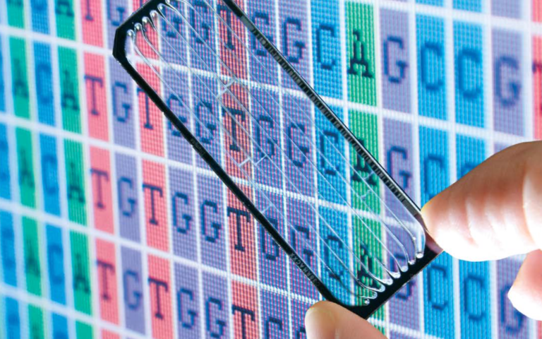 The Epistemological Crisis in Genomics