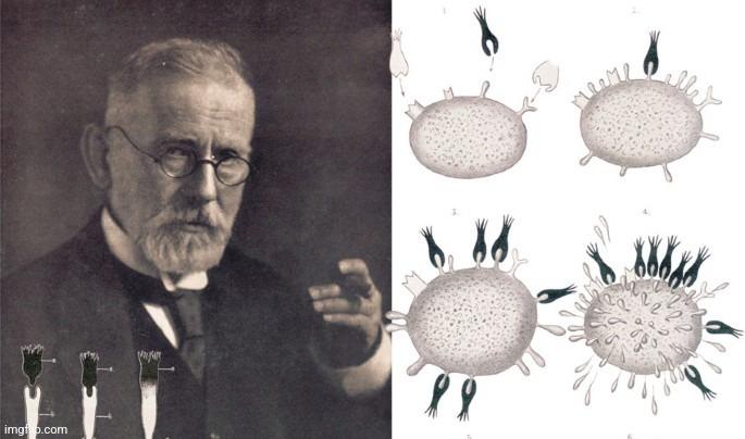 Paul Ehrlich&#8217;s Side-Chain Antibody Theory (1900) Part 1
