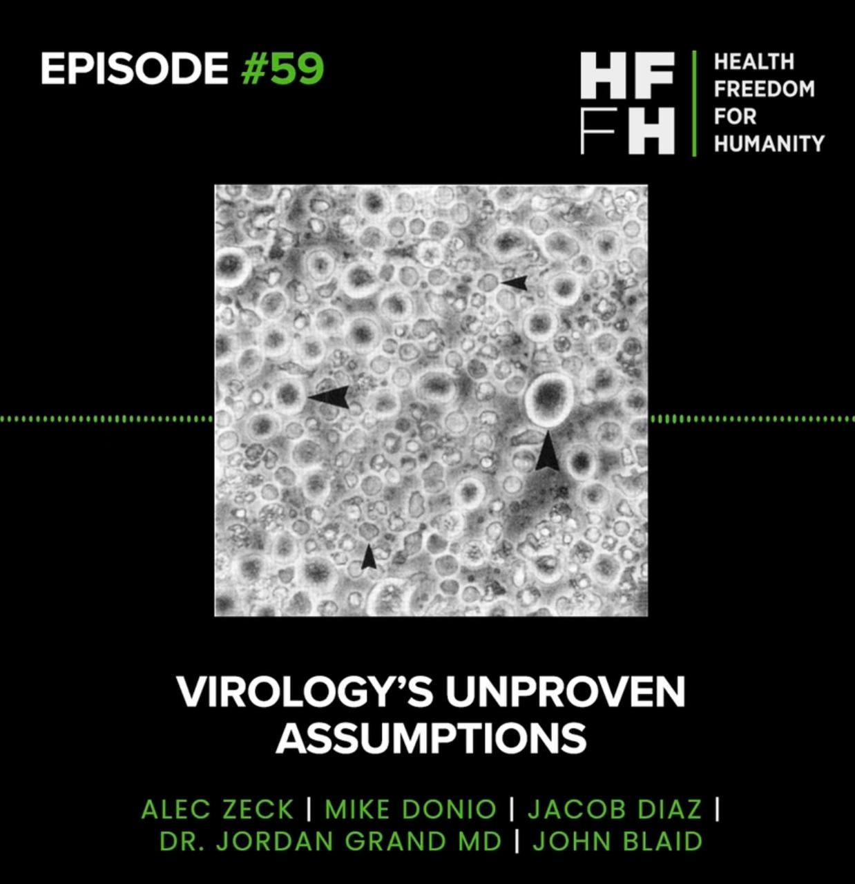 Virology&#8217;s Unproven Assumptions
