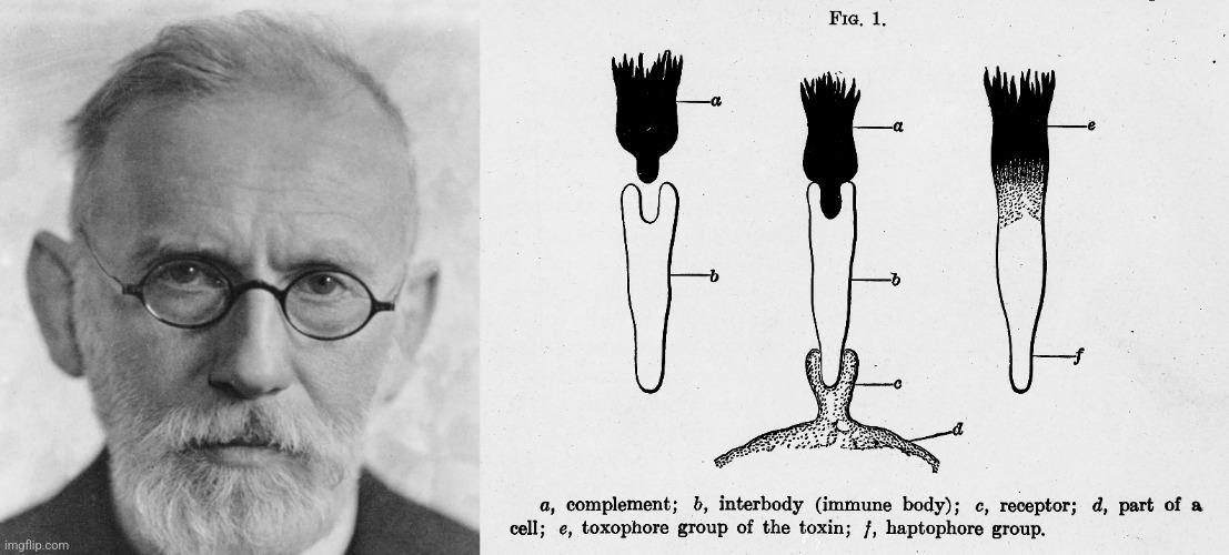 Paul Ehrlich&#8217;s Side-Chain Antibody Theory (1900) Part 2: The Complement System