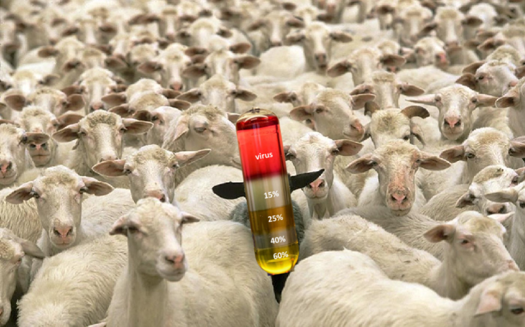 Purification: Virology&#8217;s Black Sheep