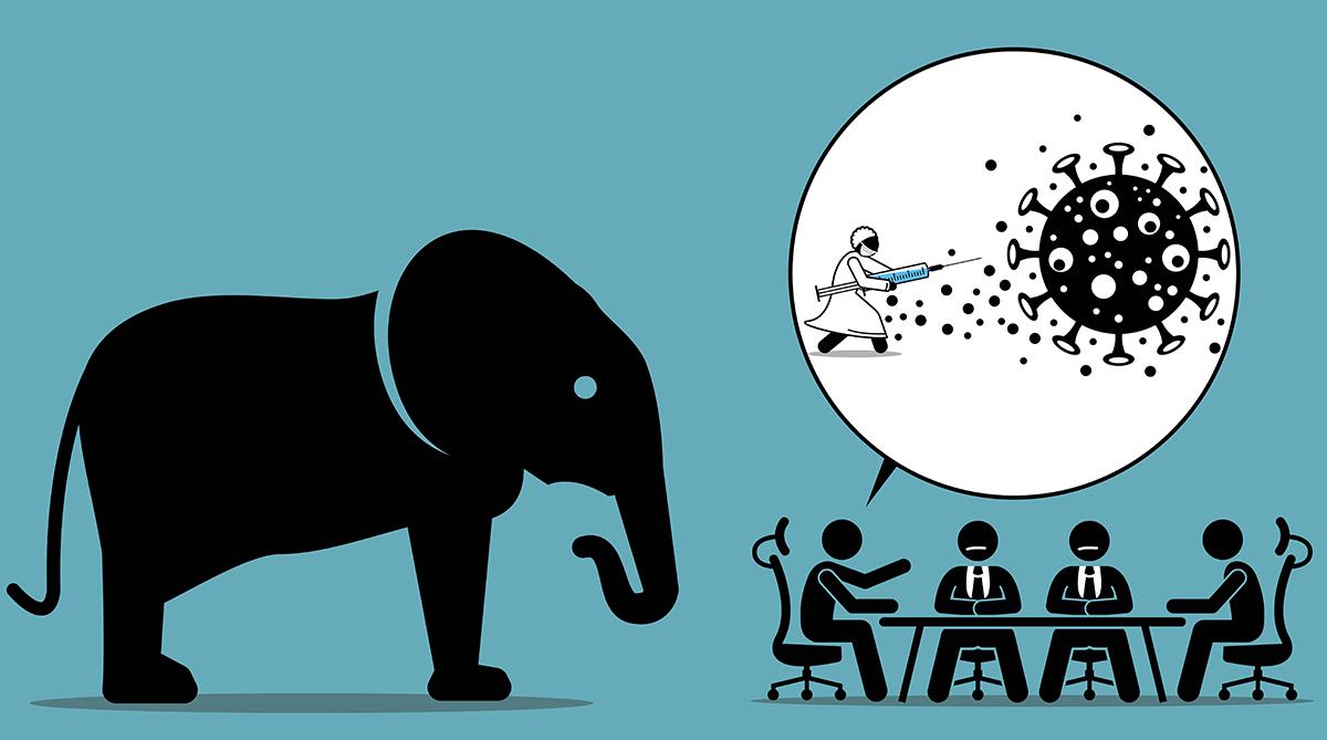 The Elephant and The Spike