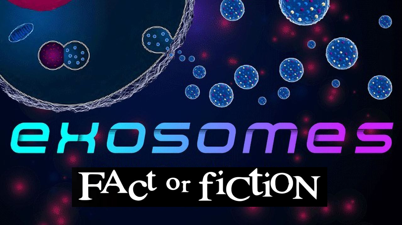 Exosomes: Fact or Fiction?