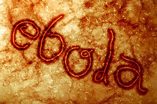 The Ebola &#8220;Virus&#8221; Part 2