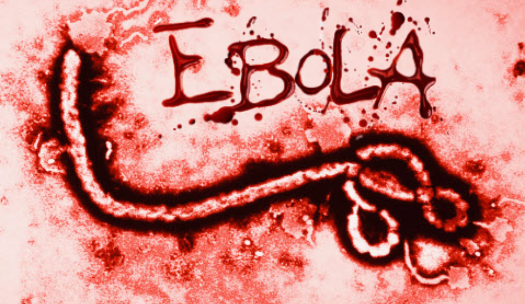 The Ebola &#8220;Virus&#8221; Part 1