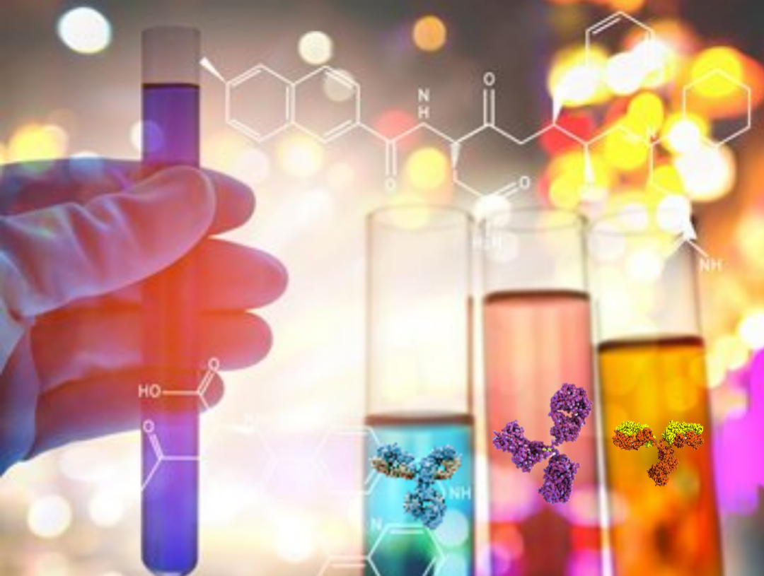 The Chemical Structure of Antibodies?