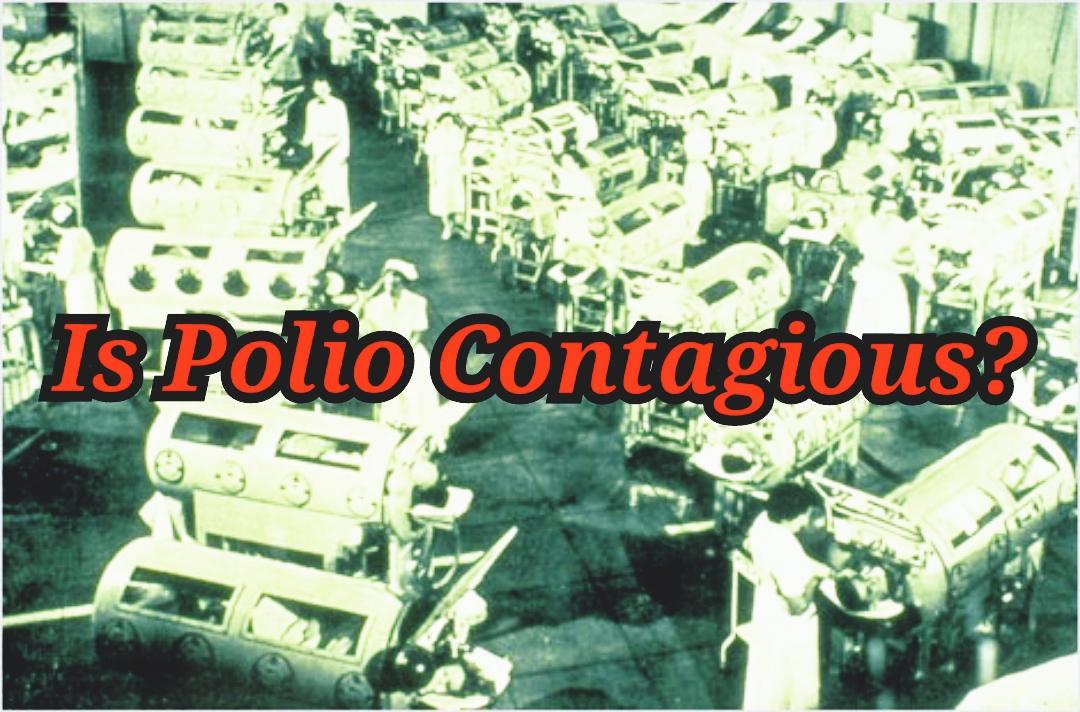 The Infectious Myth Busted Part 5: Is Polio Contagious?