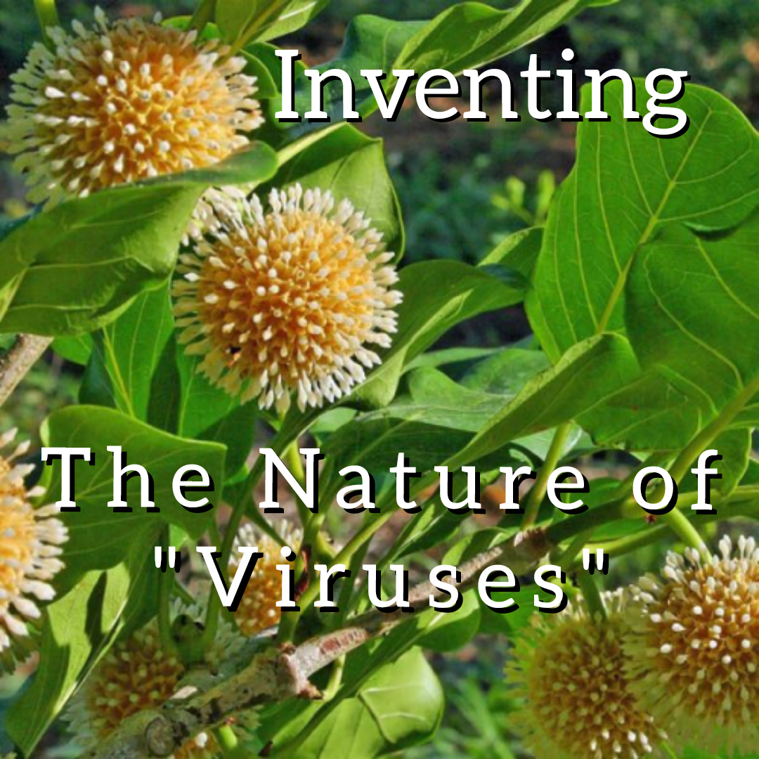 Inventing the Nature of &#8220;Viruses&#8221;