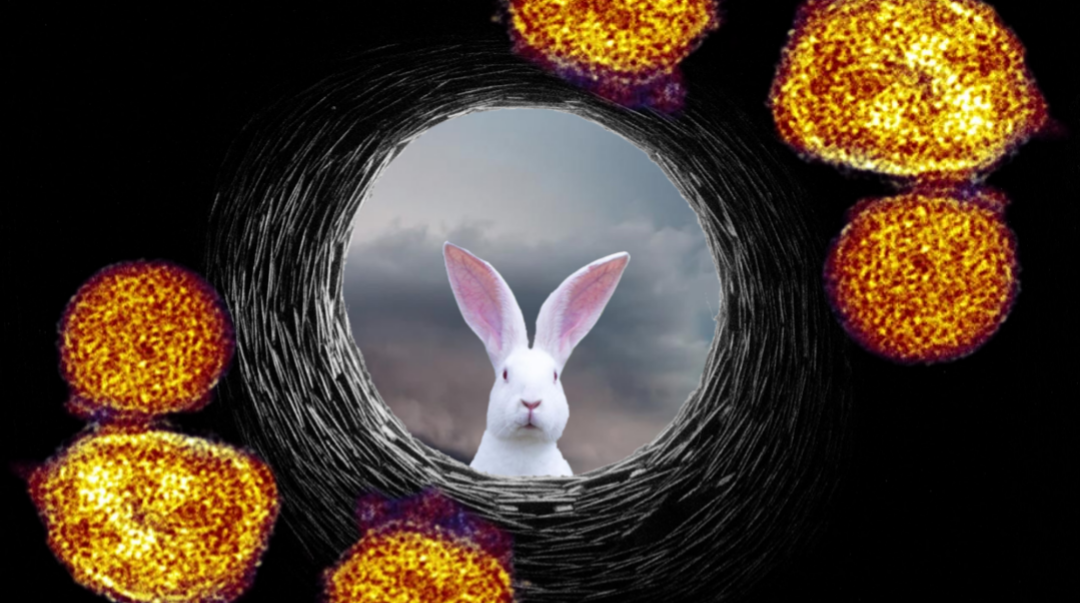 Down the &#8220;Virus&#8221; Rabbit Hole With Mimi Zajc