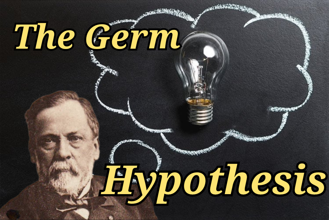 The Germ Hypothesis Part 1: Pasteur&#8217;s Problems