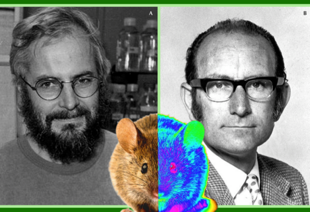 Köhler and Milstein&#8217;s Monoclonal Antibody Monstrosity (1975)