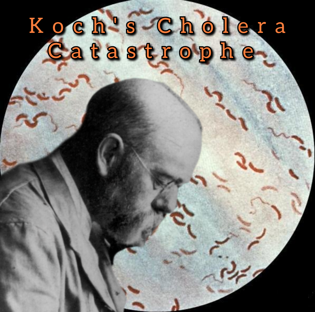 Koch&#8217;s Cholera Catastrophe