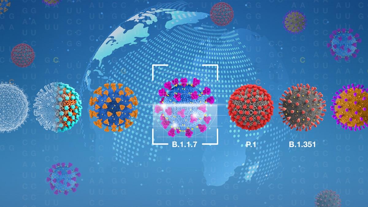 Passage in Vero Cells: The Variant Game