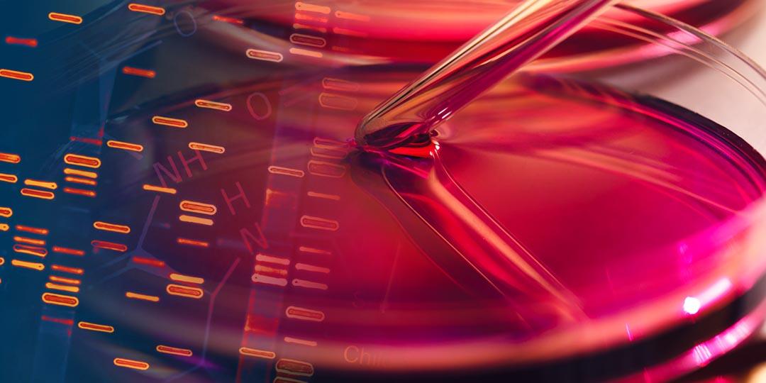 The Cell Cuture Problem