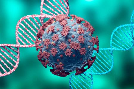 Woo “Coronavirus” HKU1 Paper (2005)