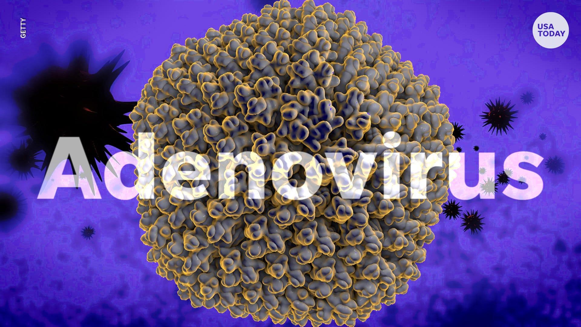 The Adventitious Adenovirus