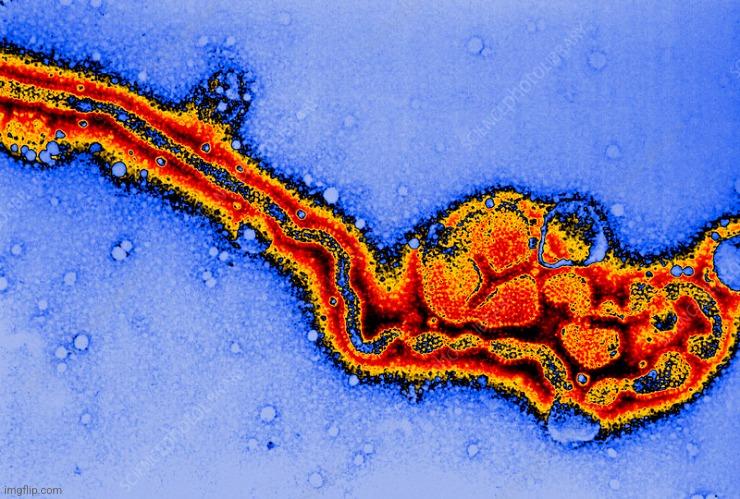 Was Influenza C Ever Purified and Isolated?