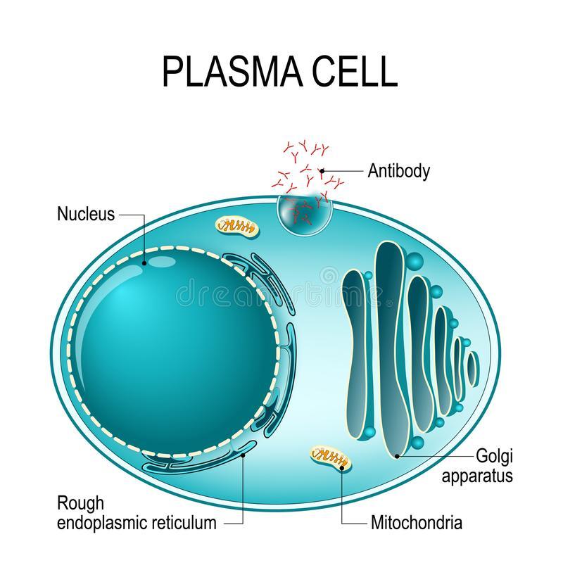 Antibodies, Plasma, and the Power of Correlation