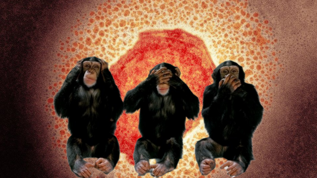 Monkey Business