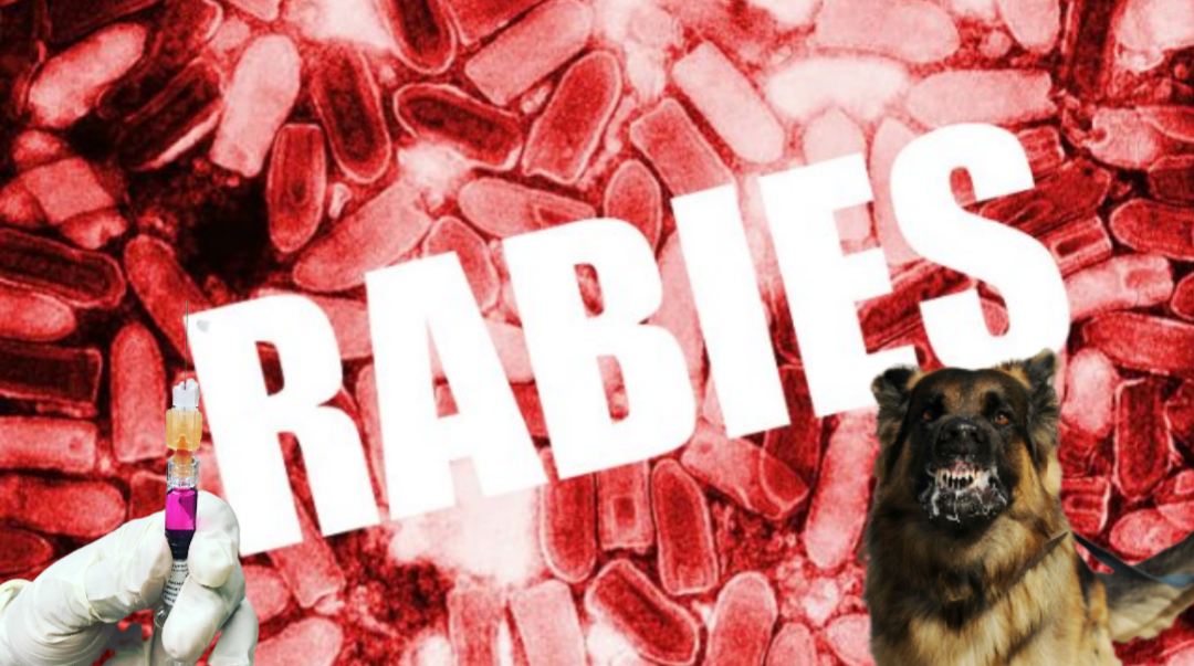 Blindsided by Rabies with Michael Wallach on the Skeptico Podcast