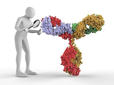 Was the First Atomic Resolution Structure of an Antibody Fragment Published in 1973?