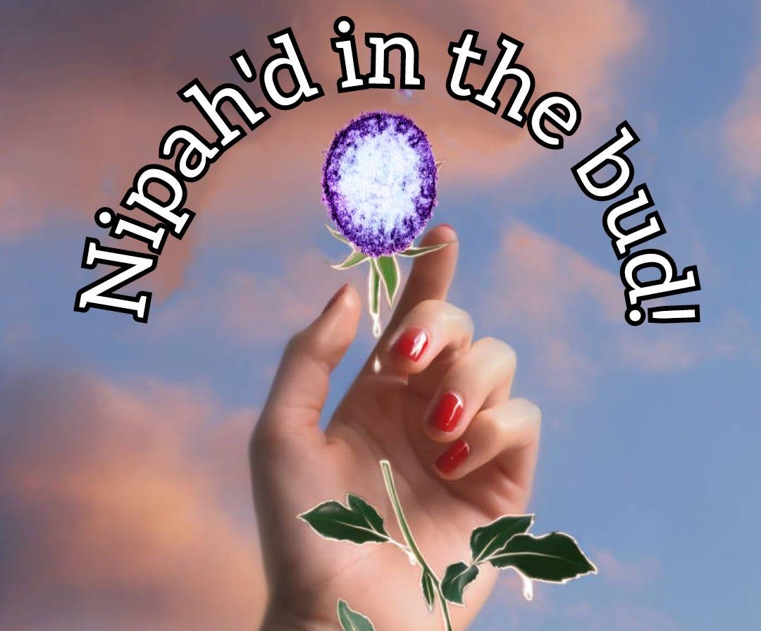 Nipah’d in the Bud