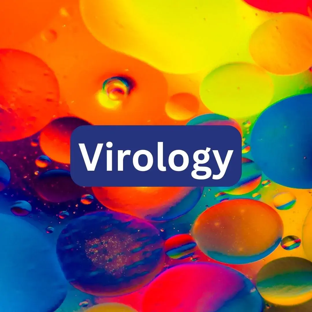 Virology Interview With Lies Are Unbekoming