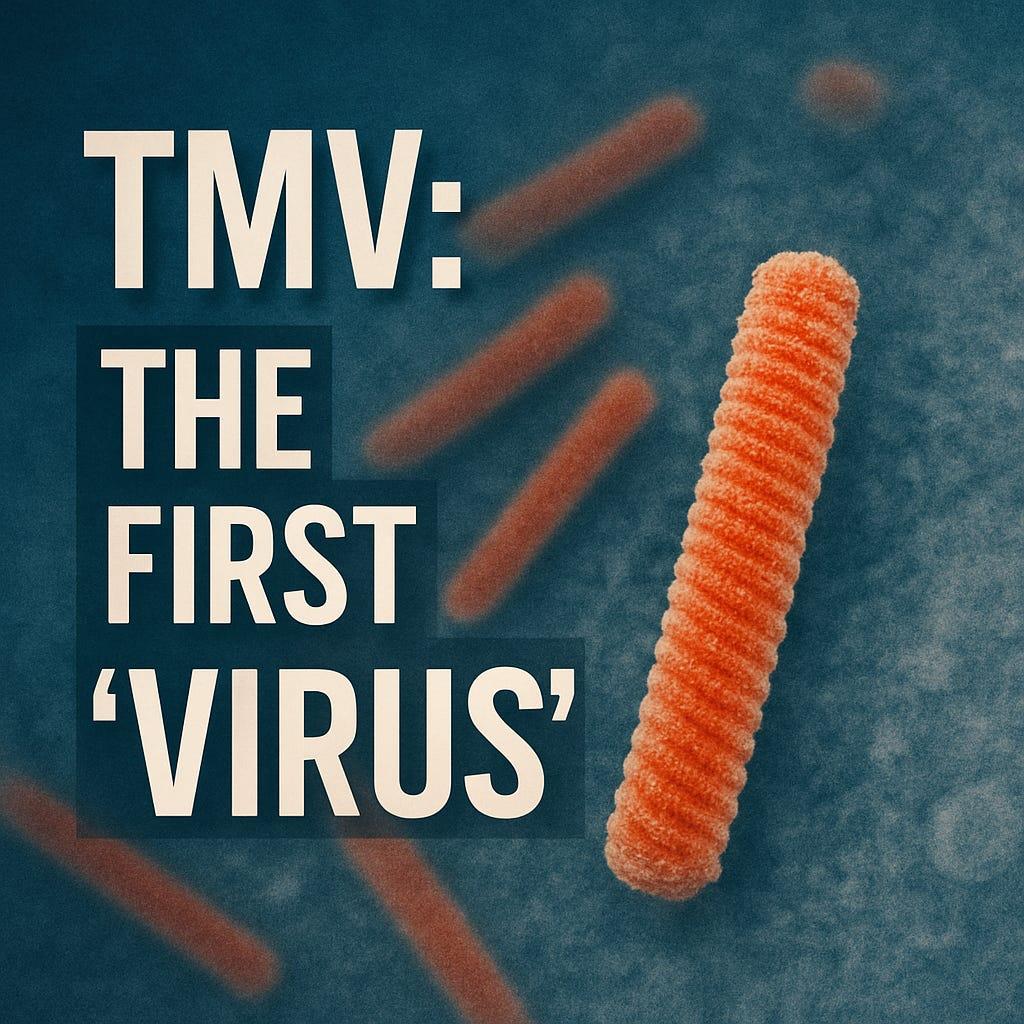 TMV: The First “Virus”